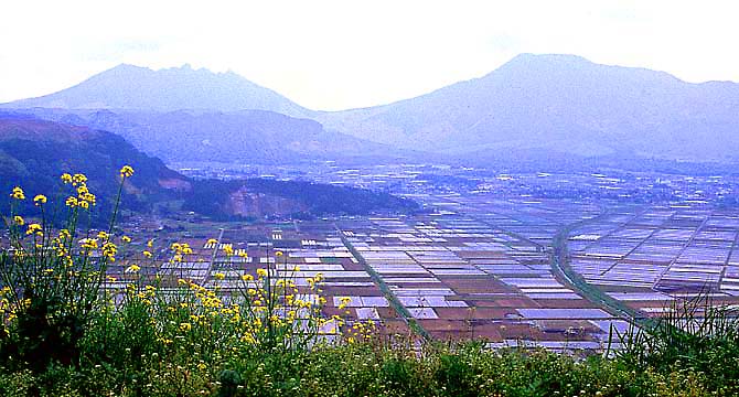 �N���b�N����ƌ��̃y�[�W�֖߂�܂�