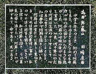 �ʐ^���N���b�N����Ɗg��摜�������܂�