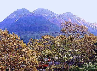 �ʐ^���N���b�N����Ɗg��摜�������܂�