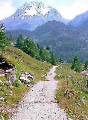 �N���b�N����ƌ��̃y�[�W�֖߂�܂�