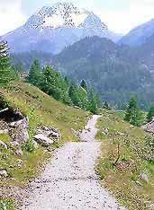 �ʐ^���N���b�N����Ɗg��摜�������܂�