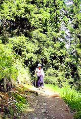 �ʐ^���N���b�N����Ɗg��摜�������܂�