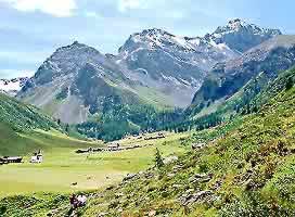 �ʐ^���N���b�N����Ɗg��摜�������܂�