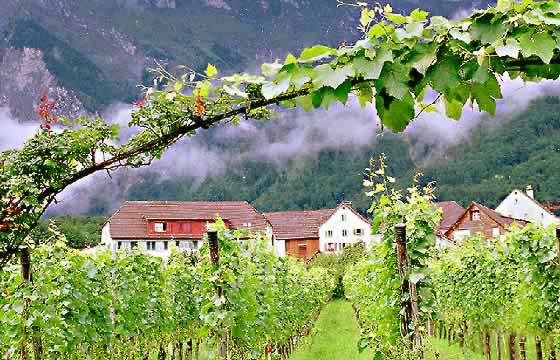 �N���b�N����ƌ��̃y�[�W�֖߂�܂�