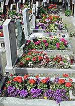 �ʐ^���N���b�N����Ɗg��摜�������܂�