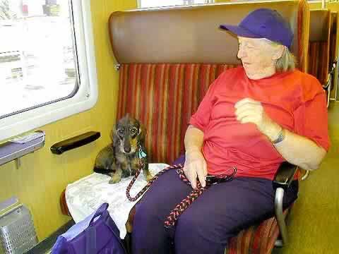 �N���b�N����ƌ��̃y�[�W�֖߂�܂�