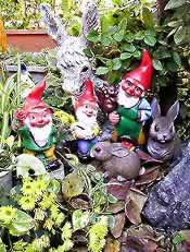 �ʐ^���N���b�N����Ɗg��摜�������܂�