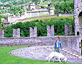 写真をクリックすると拡大画像が見られます