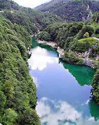 写真をクリックすると拡大画像が見られます