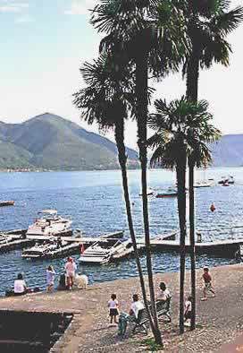 �N���b�N����ƌ��̃y�[�W�֖߂�܂�