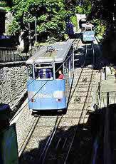 �ʐ^���N���b�N����Ɗg��摜�������܂�