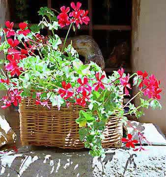 �N���b�N����ƌ��̃y�[�W�֖߂�܂�