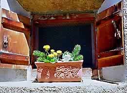 �ʐ^���N���b�N����Ɗg��摜�������܂�