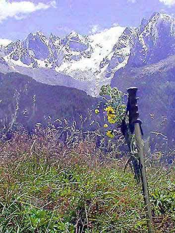 �N���b�N����ƌ��̃y�[�W�֖߂�܂�