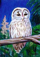 �摜���N���b�N����Ɗg�債�Č����܂�