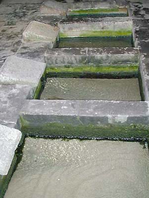 �N���b�N����ƌ��̃y�[�W�֖߂�܂�