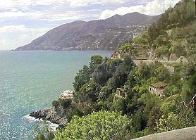 �ʐ^���N���b�N����Ɗg��摜�������܂�