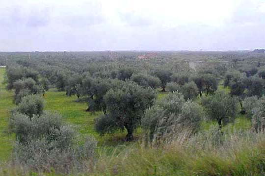 �N���b�N����ƌ��̃y�[�W�֖߂�܂�