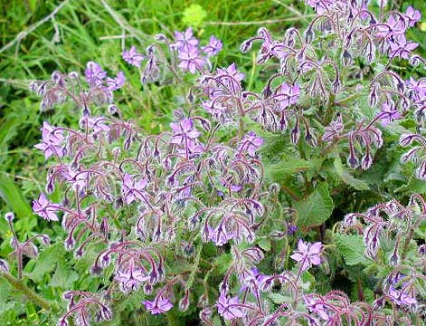 �N���b�N����ƌ��̃y�[�W�֖߂�܂�