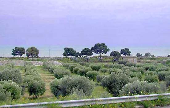 �N���b�N����ƌ��̃y�[�W�֖߂�܂�