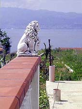 �ʐ^���N���b�N����Ɗg��摜�������܂�