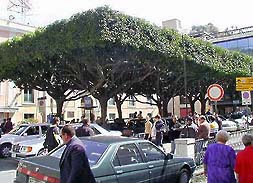 �ʐ^���N���b�N����Ɗg��摜�������܂�