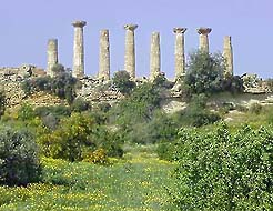 �ʐ^���N���b�N����Ɗg��摜�������܂�