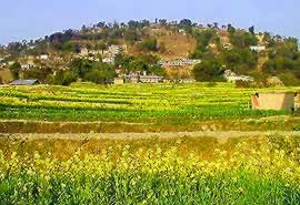 �ʐ^���N���b�N����Ɗg��摜�������܂�