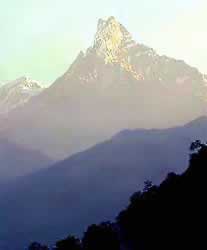 �ʐ^���N���b�N����Ɗg��摜�������܂�