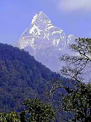 �N���b�N����ƌ��̃y�[�W�֖߂�܂�