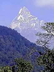 �ʐ^���N���b�N����Ɗg��摜�������܂�