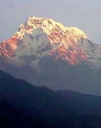 �ʐ^���N���b�N����Ɗg��摜�������܂�