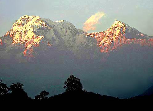 �N���b�N����ƌ��̃y�[�W�֖߂�܂�