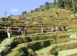 �ʐ^���N���b�N����Ɗg��摜�������܂�