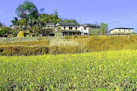 �N���b�N����ƌ��̃y�[�W�֖߂�܂�