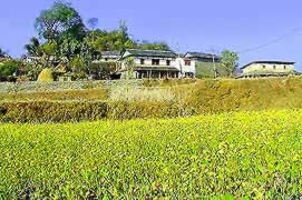 �ʐ^���N���b�N����Ɗg��摜�������܂�