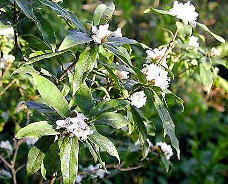 �N���b�N����ƌ��̃y�[�W�֖߂�܂�