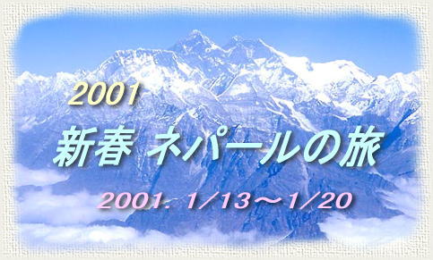 2001 �V�t�l�p�[���̗�