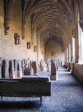 �ʐ^���N���b�N����Ɗg��摜�������܂�