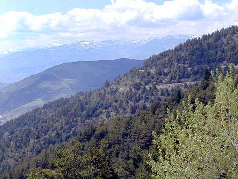 �N���b�N����ƌ��̃y�[�W�֖߂�܂�