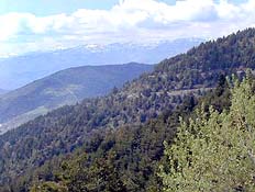 �ʐ^���N���b�N����Ɗg��摜�������܂�