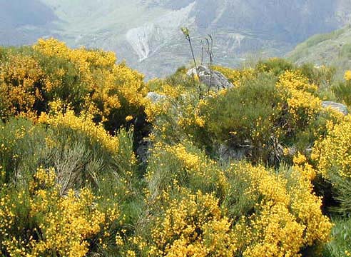 �N���b�N����ƌ��̃y�[�W�֖߂�܂�