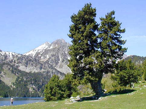 �N���b�N����ƌ��̃y�[�W�֖߂�܂�