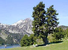 �ʐ^���N���b�N����Ɗg��摜�������܂�