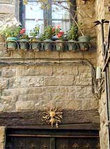 �ʐ^���N���b�N����Ɗg��摜�������܂�