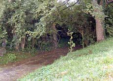 �ʐ^���N���b�N����Ɗg��摜�������܂�