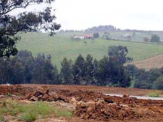 �ʐ^���N���b�N����Ɗg��摜�������܂�