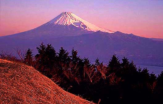 �N���b�N����ƌ��̃y�[�W�֖߂�܂�