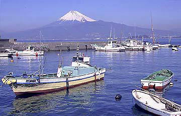 ���Y�C�݂��