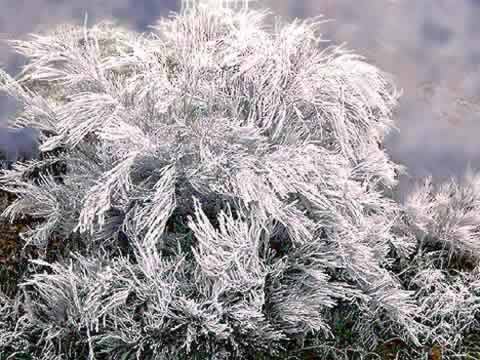 �N���b�N����ƌ��̃y�[�W�֖߂�܂�